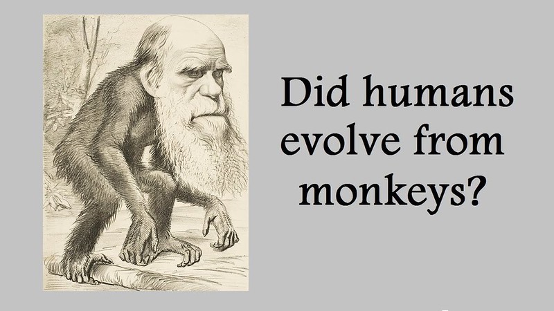 Darwin was the monkey the demons wanted him to be