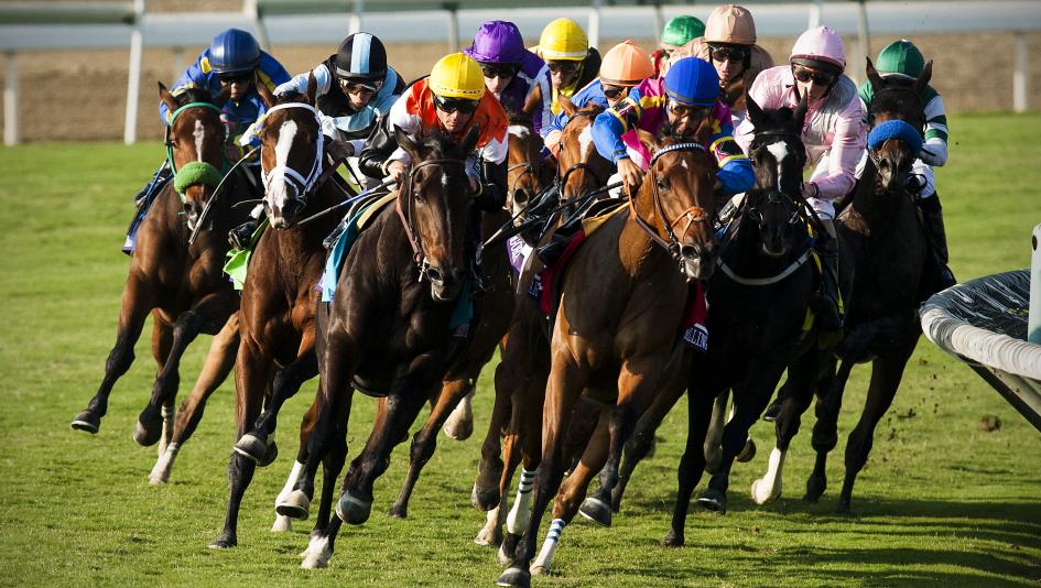 Horse race return
