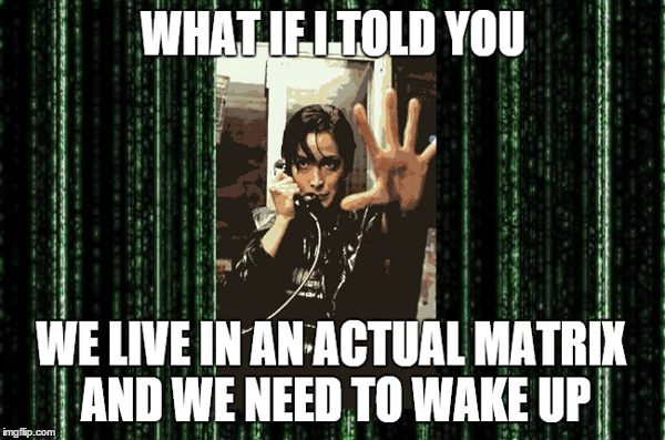 What is the true nature of the matrix again